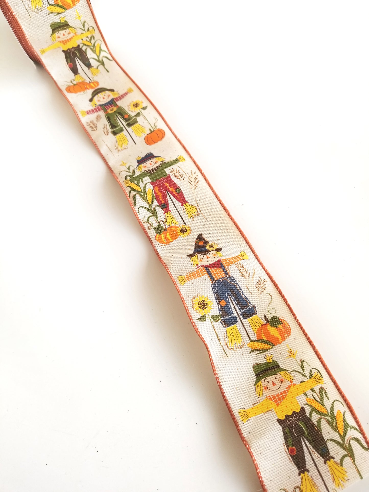 2.5" Scarecrow Ribbon - Designer DIY