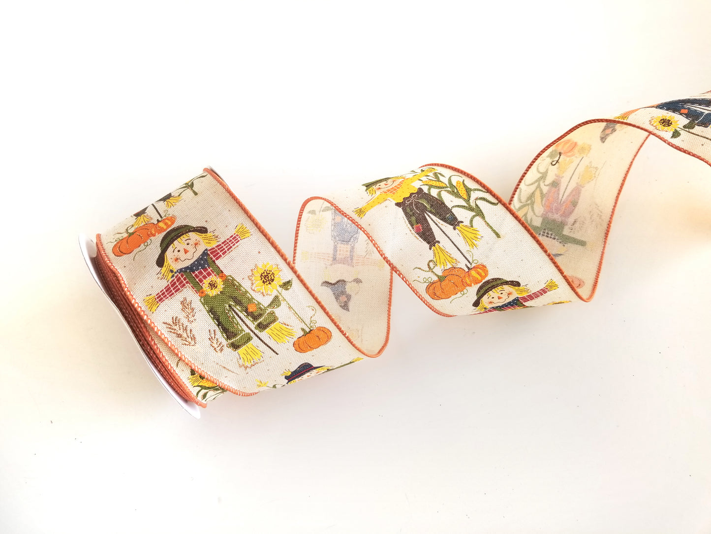 2.5" Scarecrow Ribbon - Designer DIY