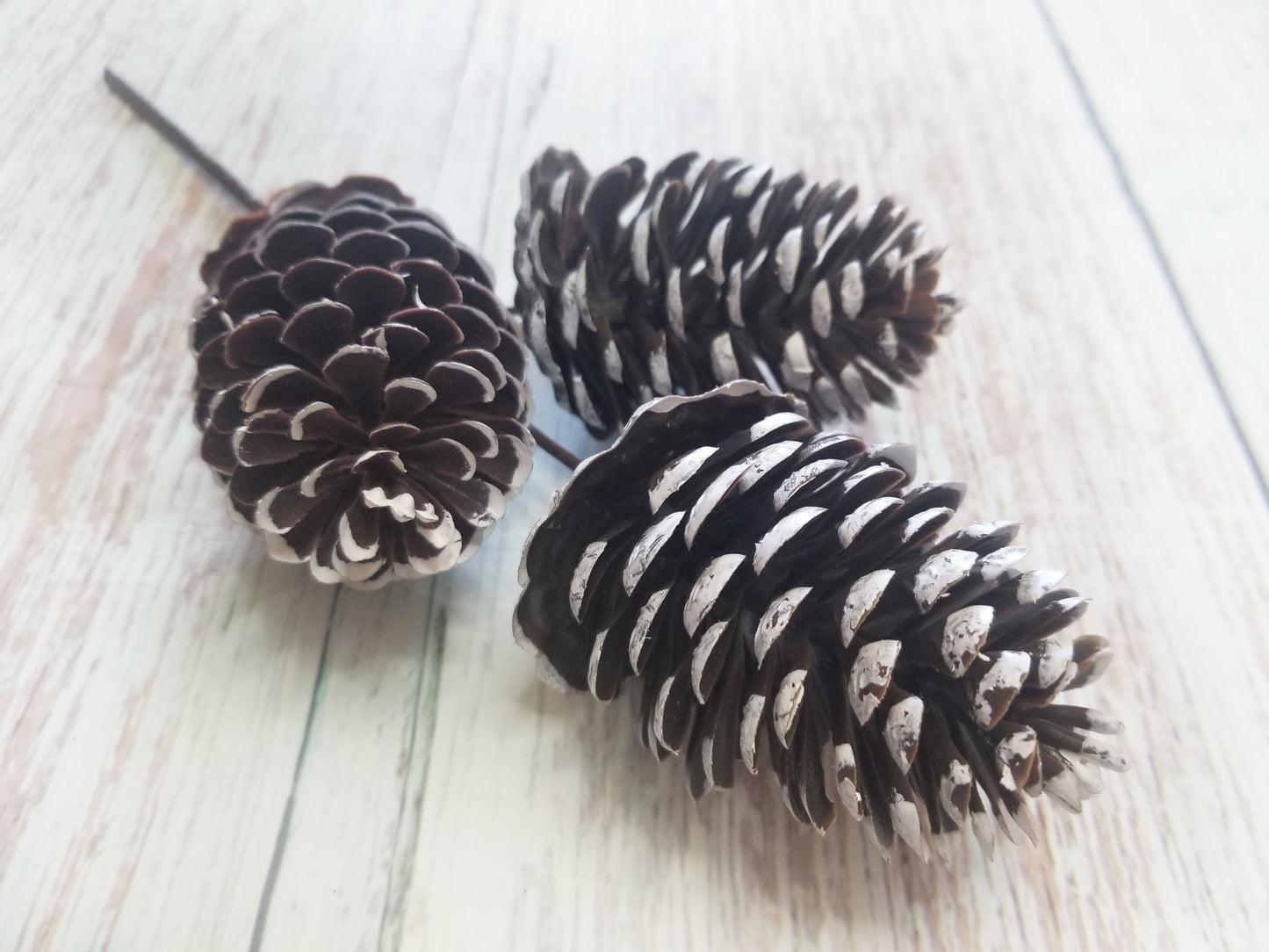 Pinecone Pick - Designer DIY