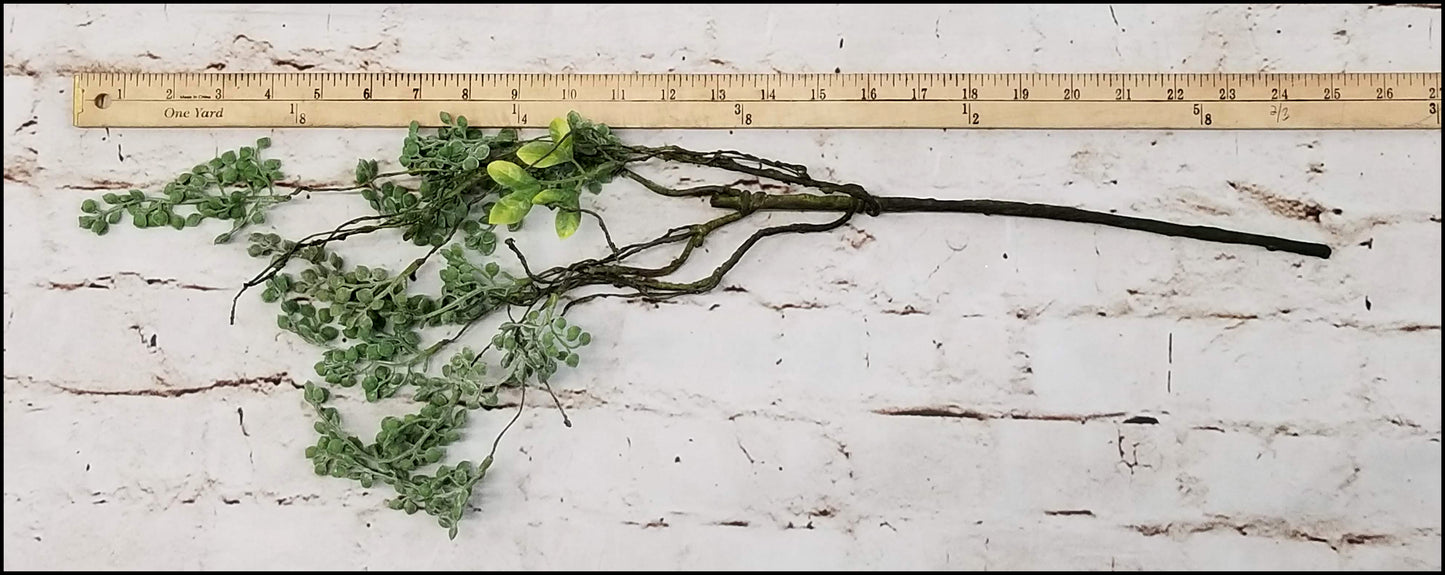 Succulent Pick