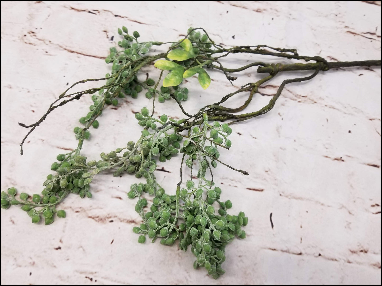 Succulent Pick