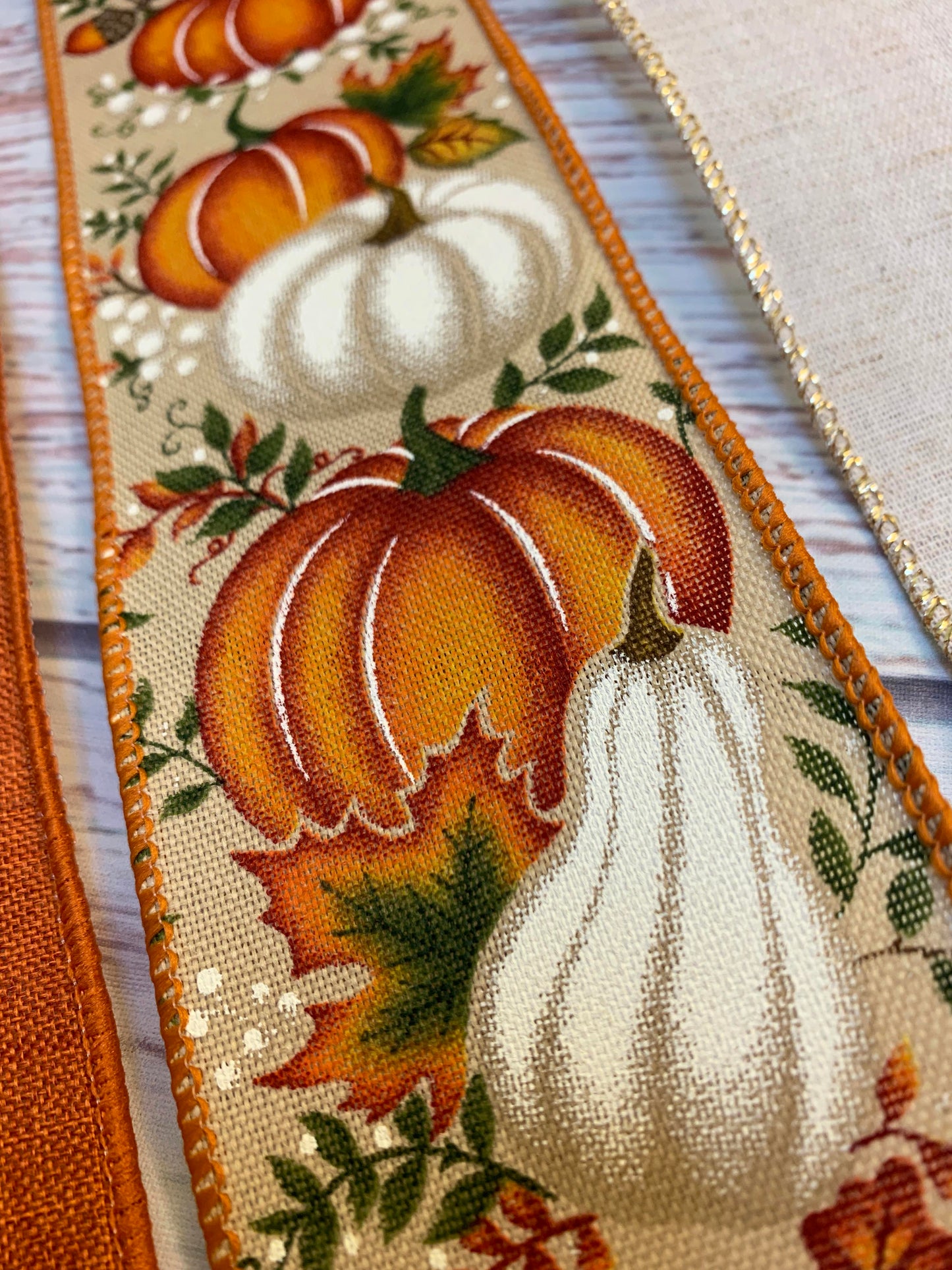 Ribbon Collection | Fall Pumpkin Set