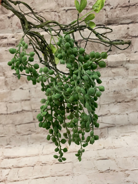 Succulent Pick