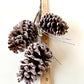Frosted Pinecone Pick - Designer DIY