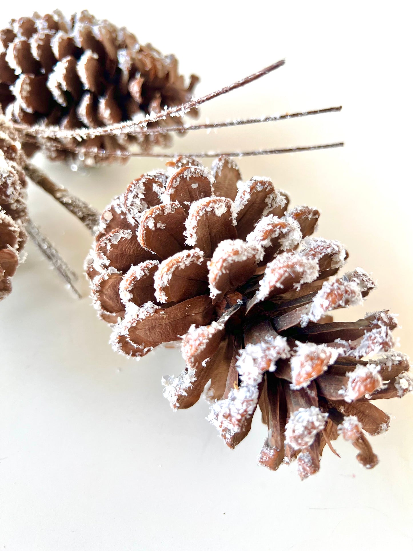 Frosted Pinecone Pick - Designer DIY