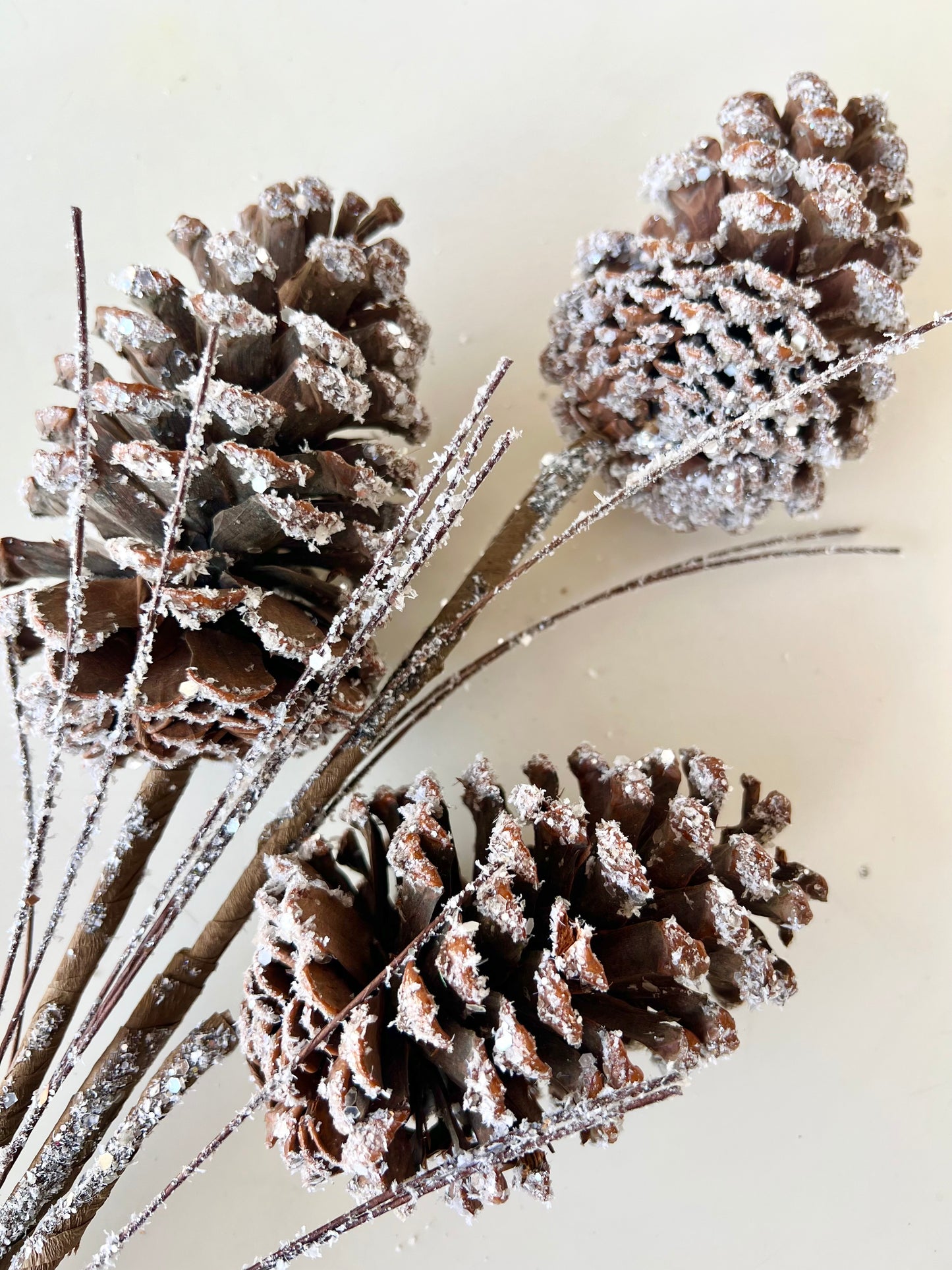 Frosted Pinecone Pick - Designer DIY