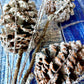 Frosted Pinecone Pick - Designer DIY