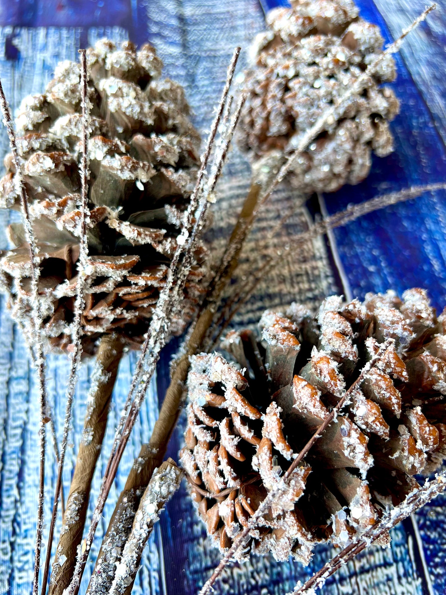 Frosted Pinecone Pick - Designer DIY