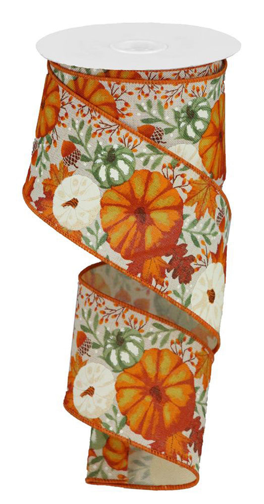 2.5" Fall Pumpkin Ribbon | Sage & Orange