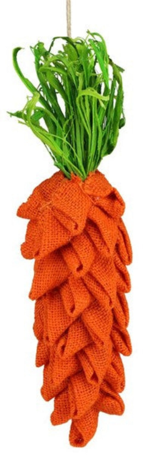 Carrot Wall Hanging - Designer DIY