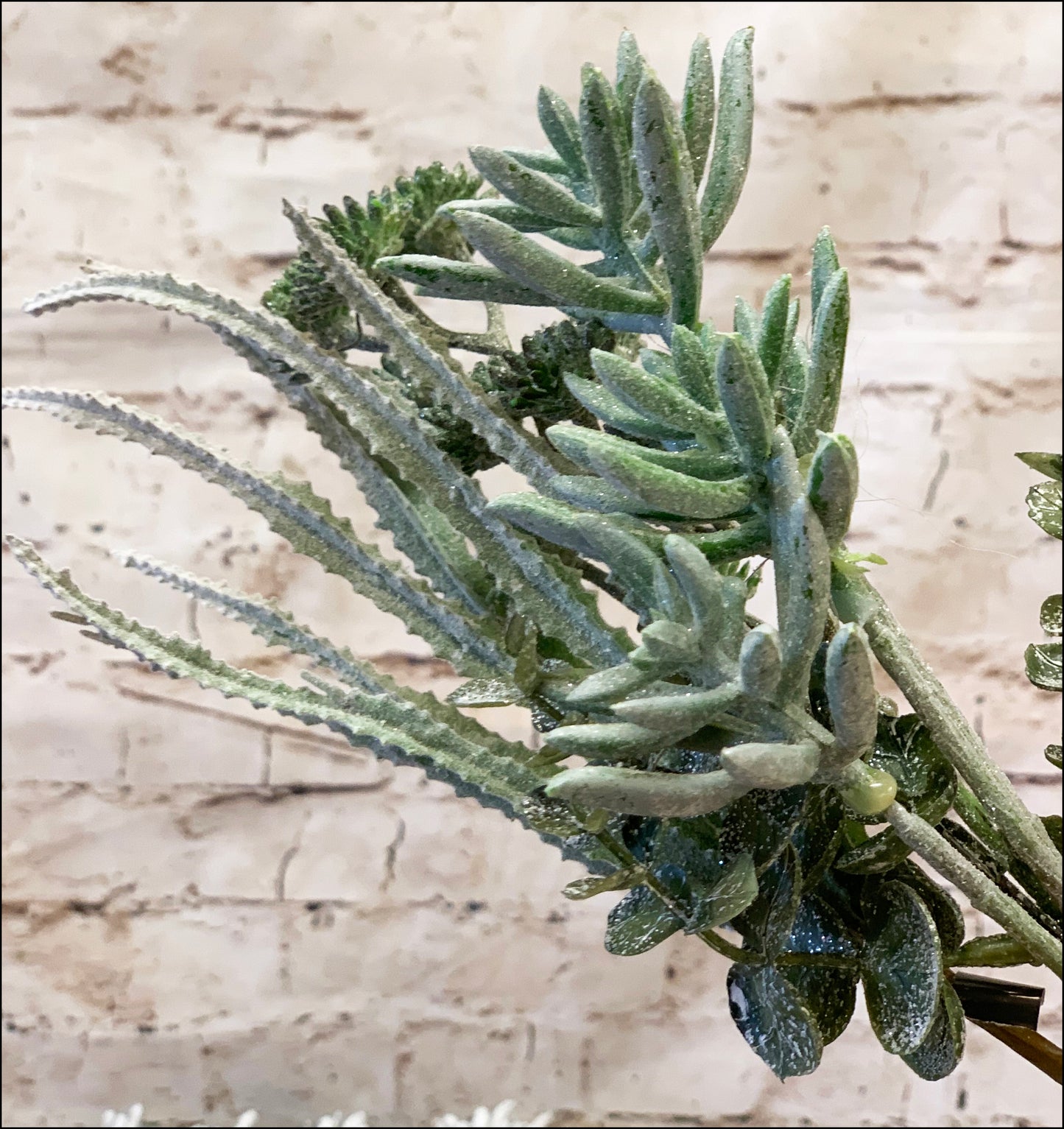 Frosted Succulent Stems - Designer DIY